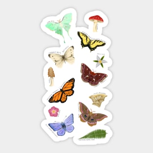 Fungus, Flora, and Fauna Sticker